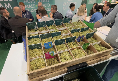 36 different varieties of hops for display at an event